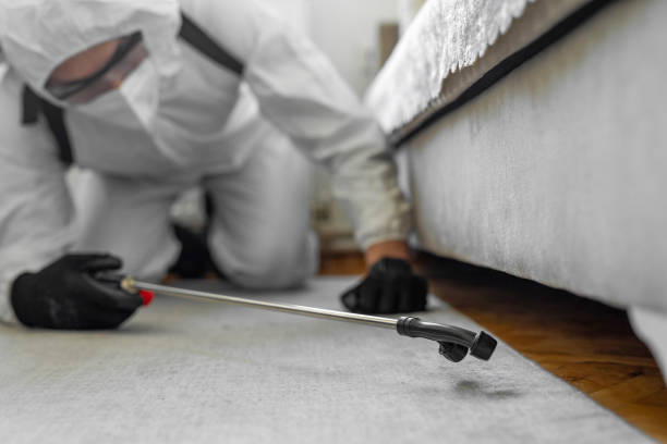 Professional Mosquito Control technician working in Troy, TX