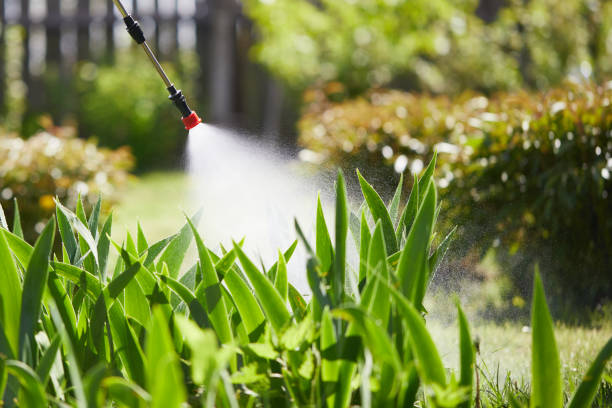 24/7 Emergency Mosquito Control experts in Troy, TX