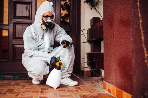 Reliable Mosquito Control contractor in Troy, TX by Nex Pest Control